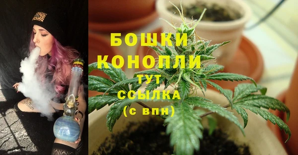 наркотики Каменка