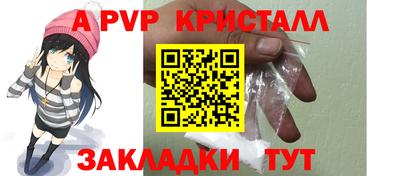 стафф Донской