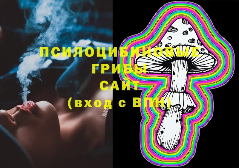 Псилоцибиновые грибы Psilocybine cubensis  ссылка на мегу ССЫЛКА  Кириши 