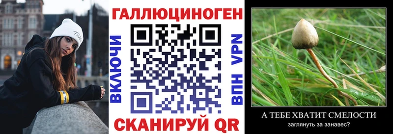 Галлюциногенные грибы Cubensis  OMG ONION  Кириши 