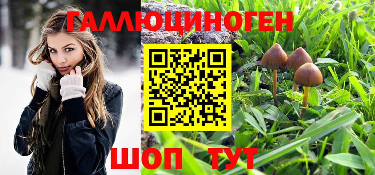 Псилоцибиновые грибы Magic Shrooms Кириши