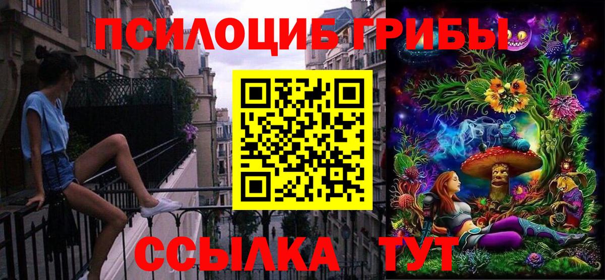 Кириши  Псилоцибиновые грибы ЛСД  Вход с VPN 