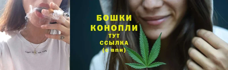 продажа наркотиков  Кириши  Бошки марихуана THC 21% 