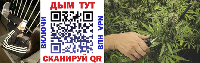Бошки Шишки OG Kush нарко площадка официальный сайт Кириши хочу наркоту hydra ссылка
